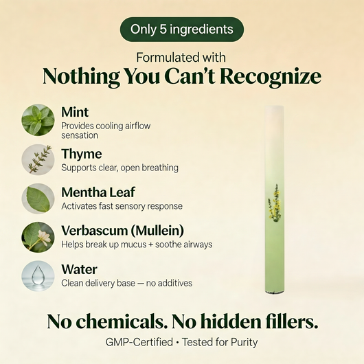 Soothera - Lung Purifier™