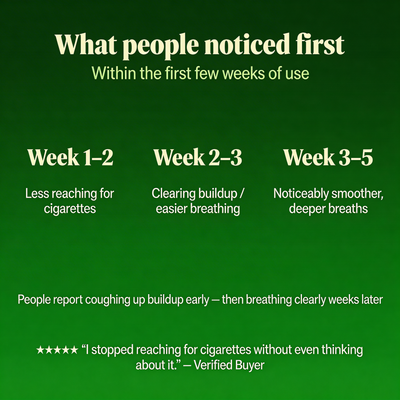 Soothera - Lung Purifier™