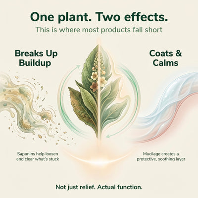 Soothera - Lung Purifier™