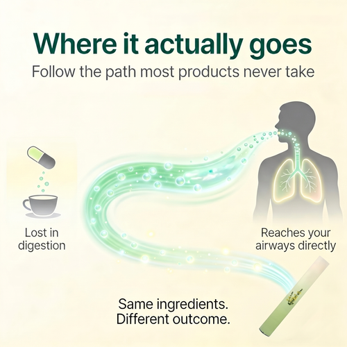 Soothera - Lung Purifier™