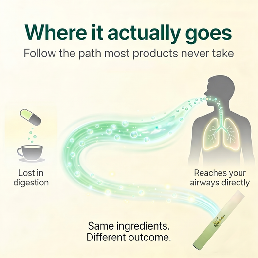 Soothera - Lung Purifier™